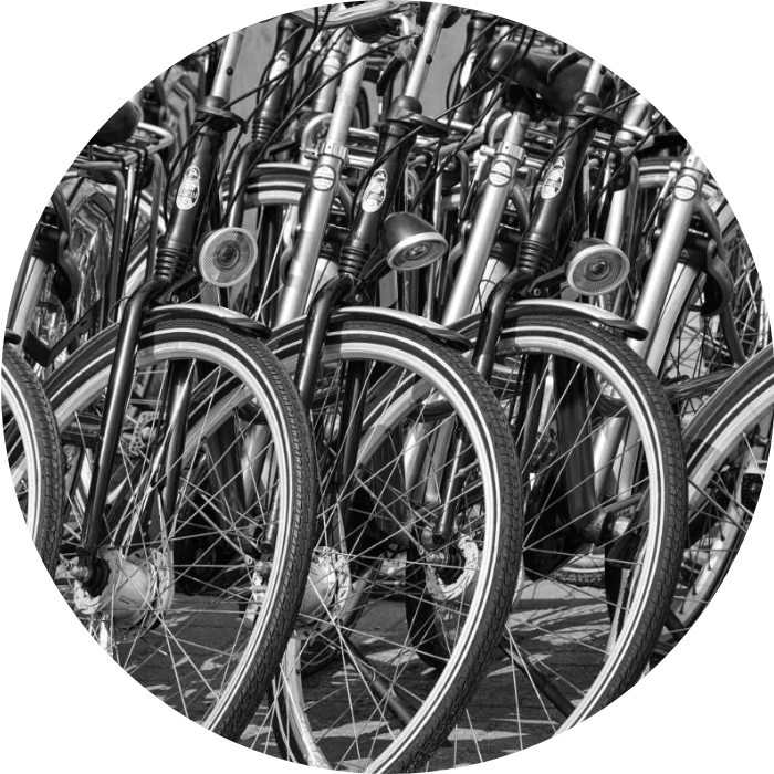 mehrere Fahrräder geparkt von vorne fotografiert
