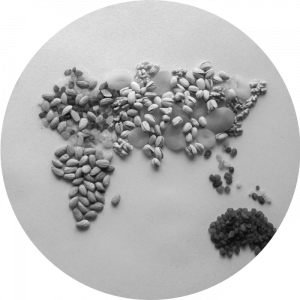 Weltkarte aus Nüssen und Trockenobst zum Thema Ernährungssouveränität